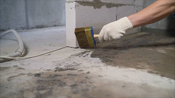 24/7 Emergency Waterproofing experts in Jackson, TN
